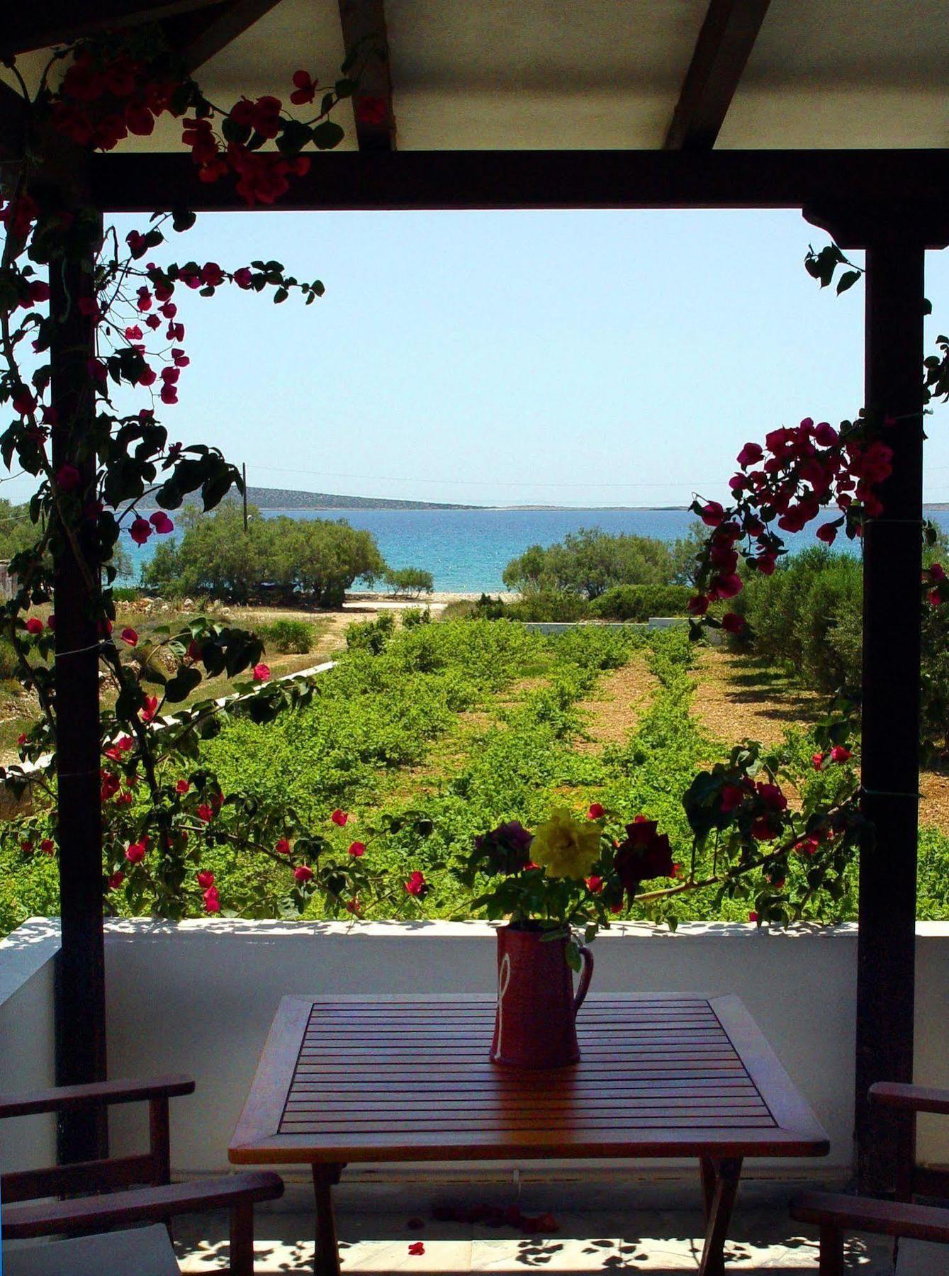 Michalis Apartments Near The Beaches With Sea View Páros 外观 照片