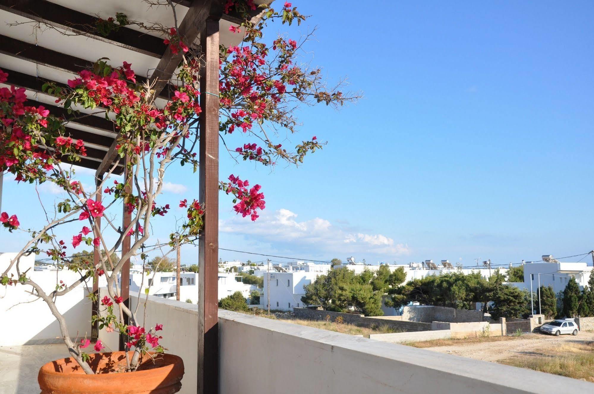Michalis Apartments Near The Beaches With Sea View Páros 外观 照片