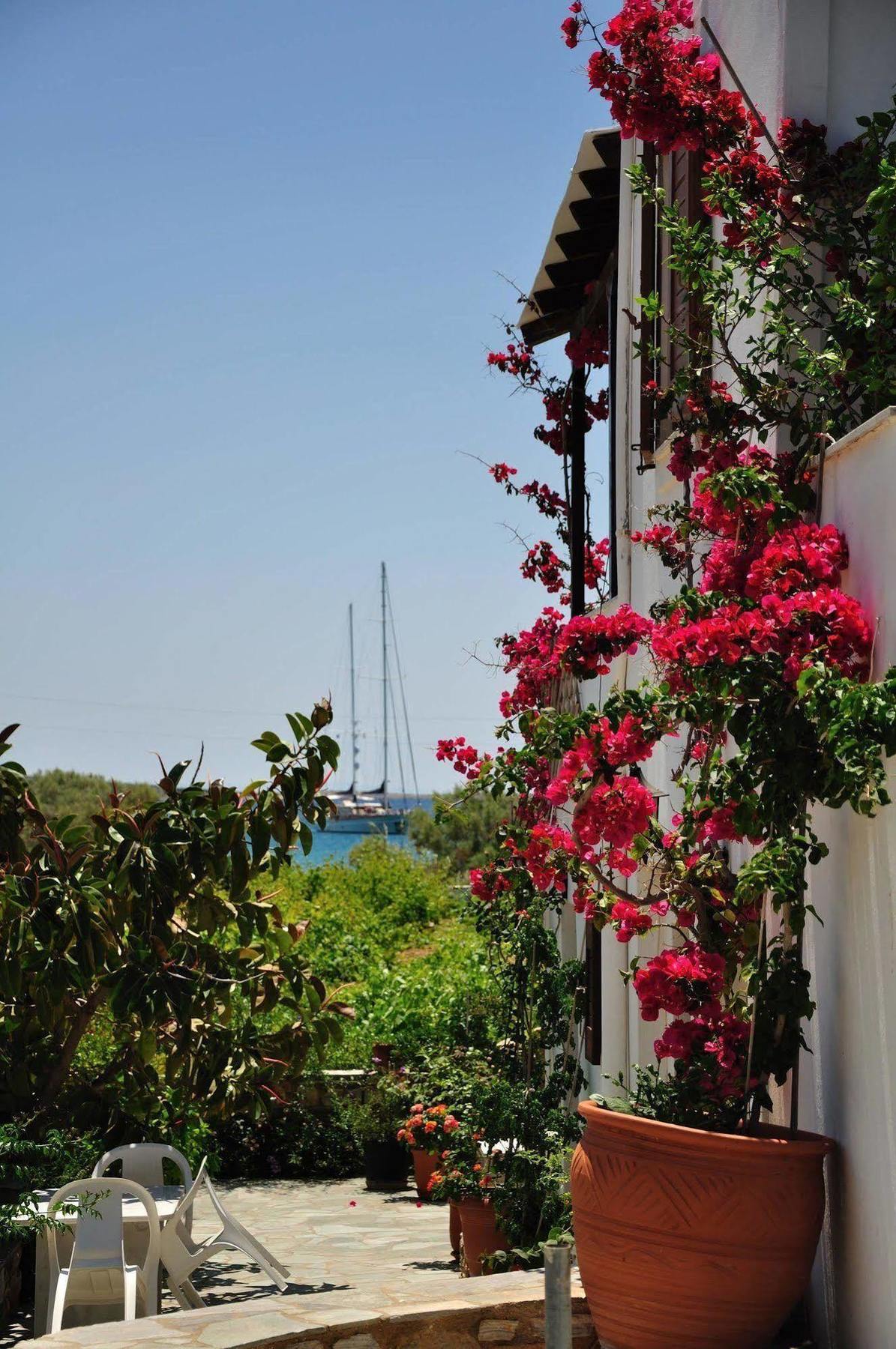 Michalis Apartments Near The Beaches With Sea View Páros 外观 照片